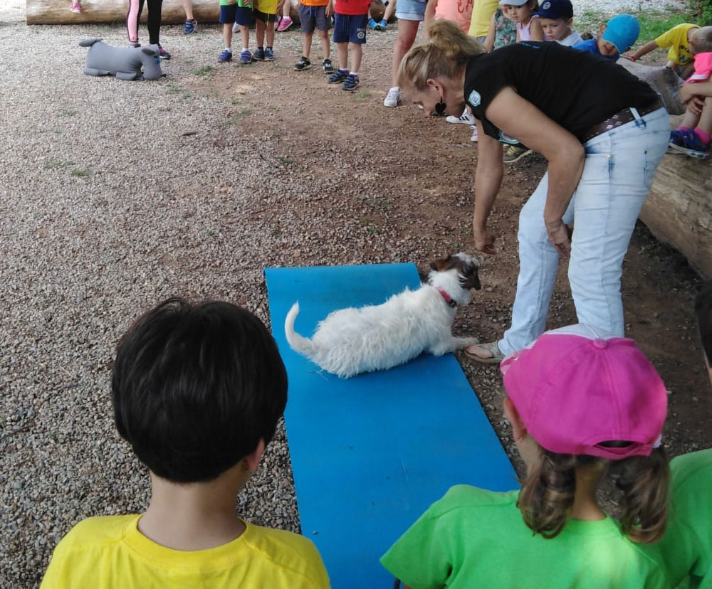 cani-fattoria