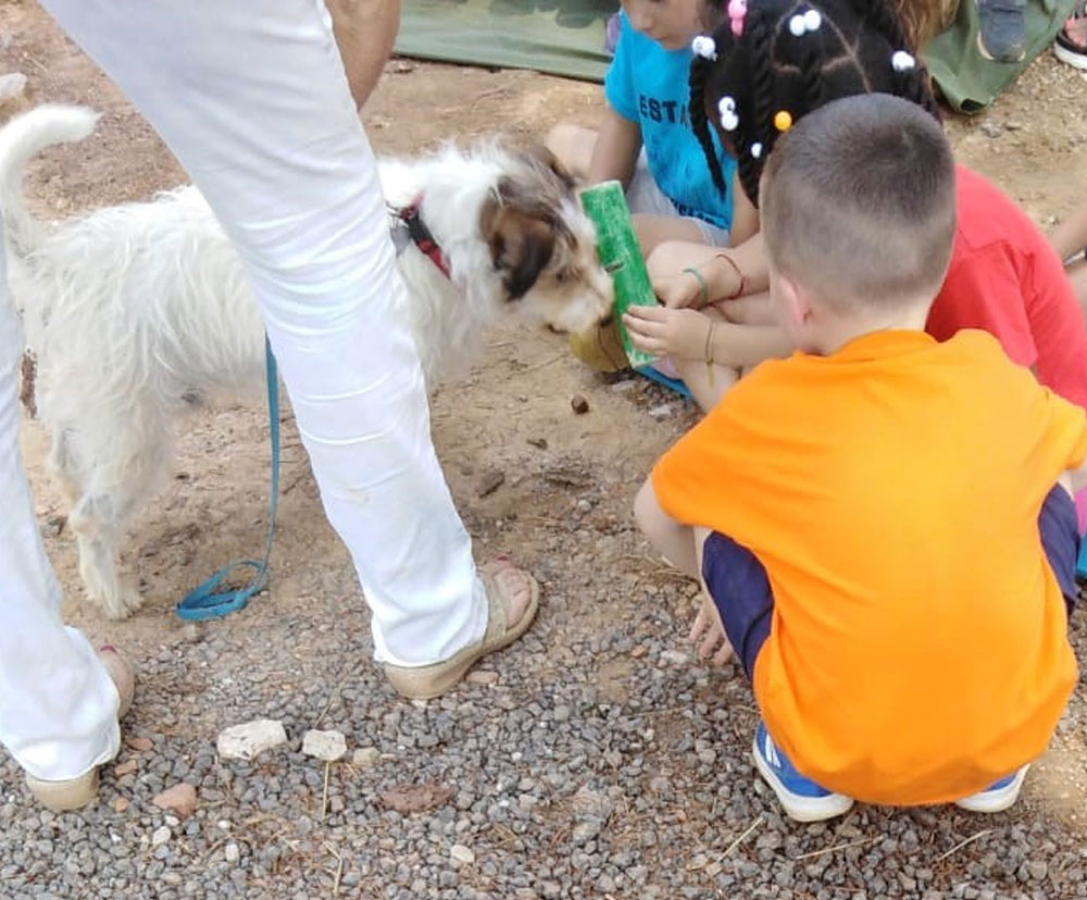 cani-fattoria